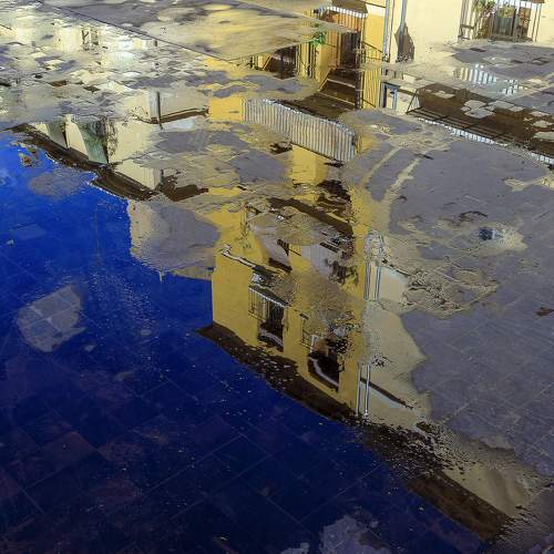 Photo #6904341