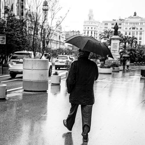 Photo #6904342