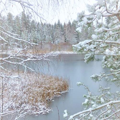 Photo #6904381