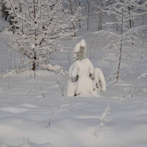 Photo #6904516
