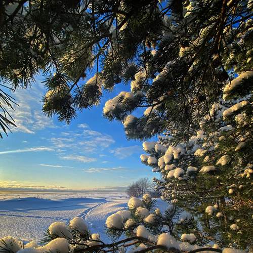Photo #6904678