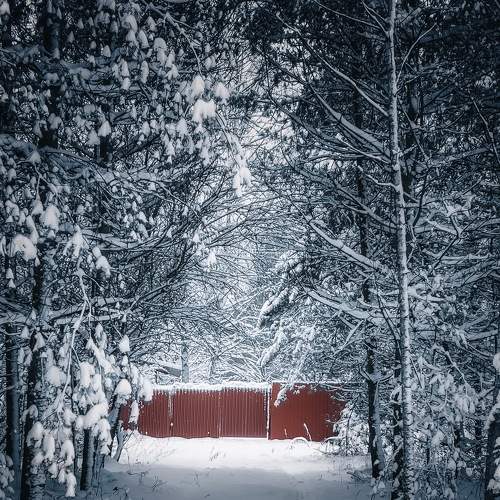 Photo #6904712