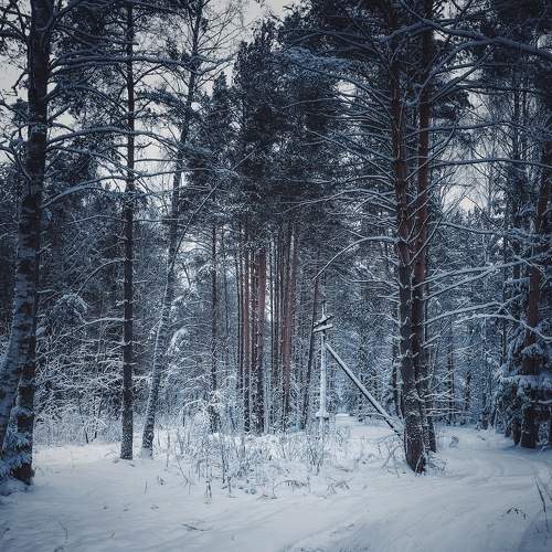 Photo #6904722