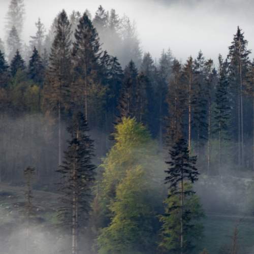 Photo #6904732