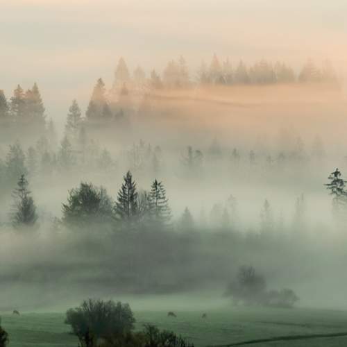 Photo #6904734