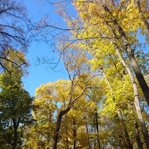 Photo #6905022