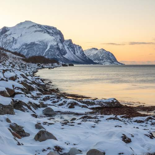 Photo #6905065