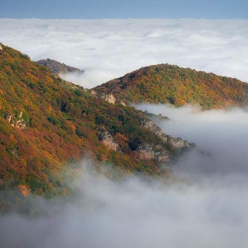 Photo #6905071
