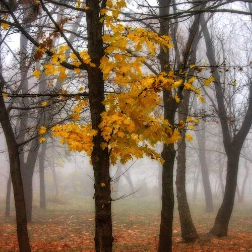 Photo #6905104