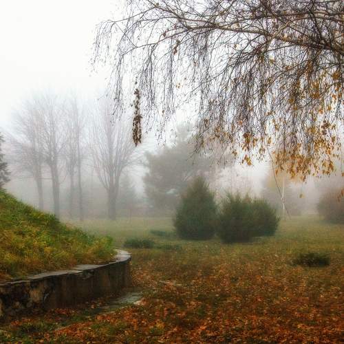 Photo #6905111