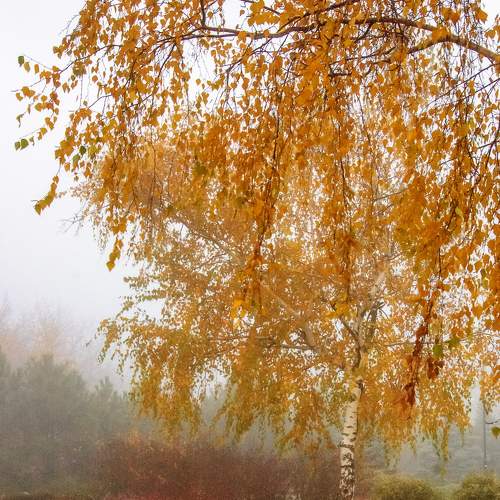 Photo #6905113