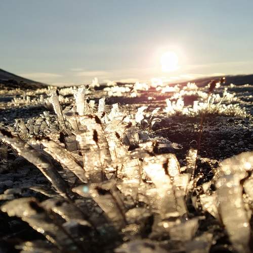 Photo #6905304