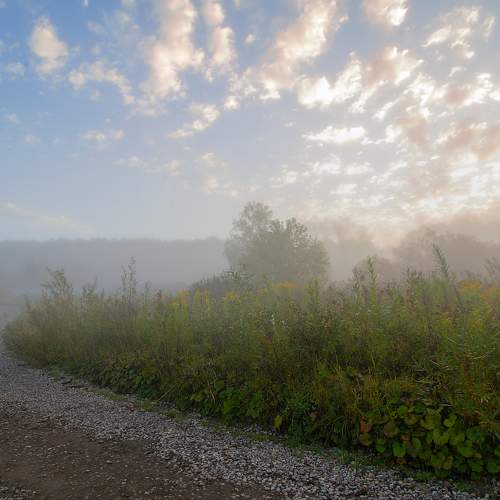 Photo #6905378