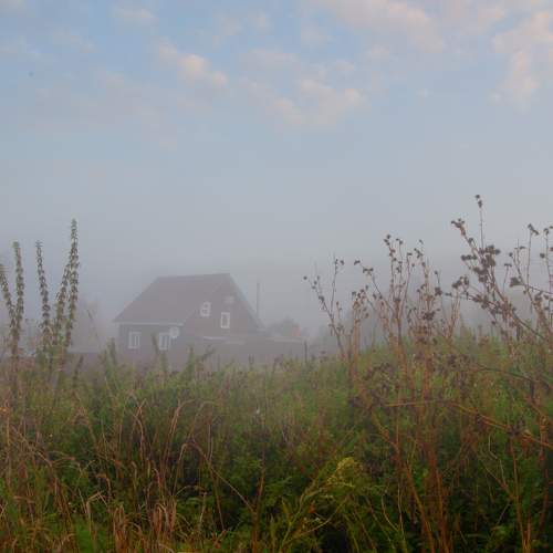 Photo #6905383