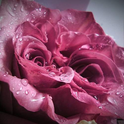 Photo #6905413