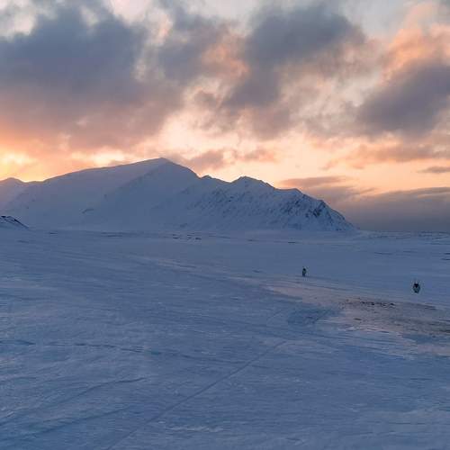 Photo #6905526