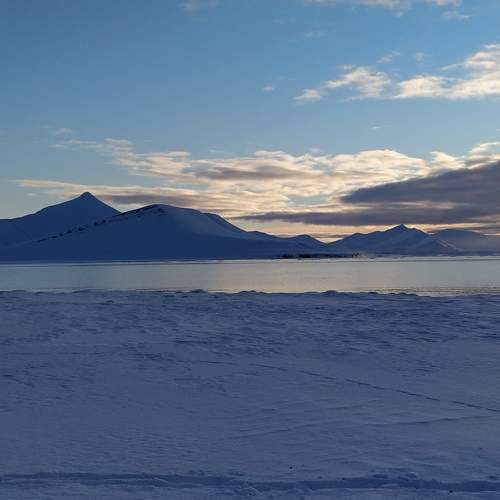 Photo #6905536
