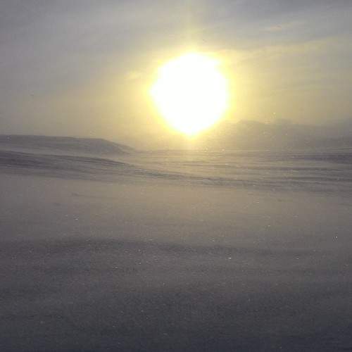 Photo #6905593