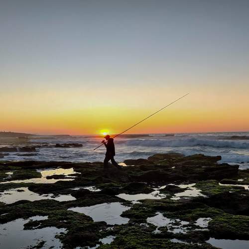 Photo #6905701