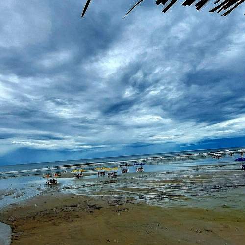 Photo #6905897