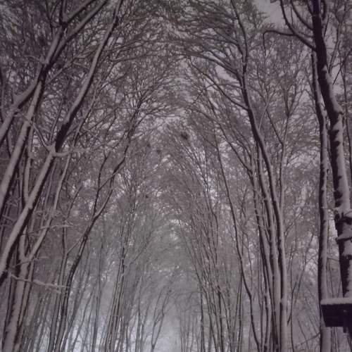 Photo #6906005