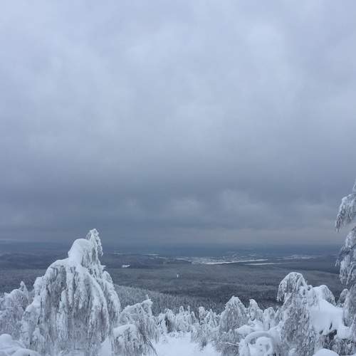 Photo #6906107