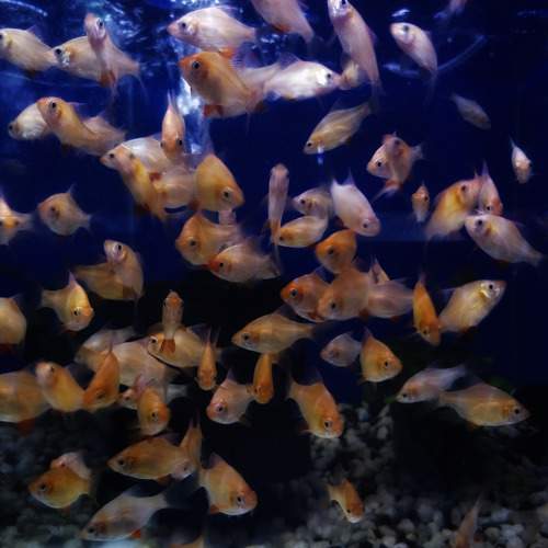 Photo #6906110