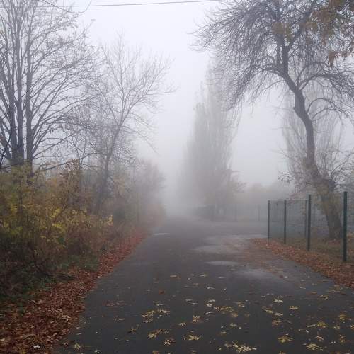 Photo #6906112
