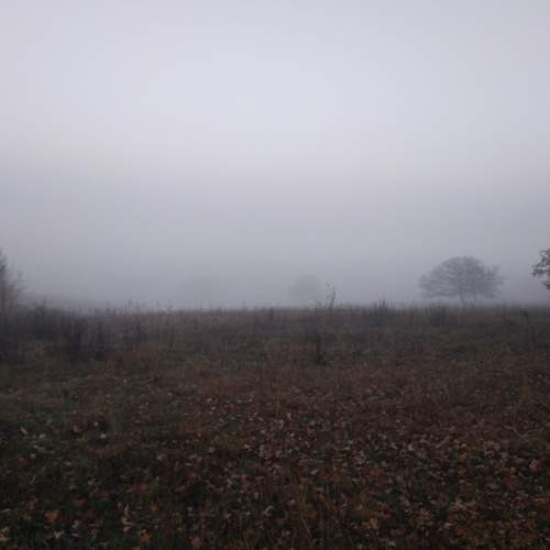 Photo #6906116