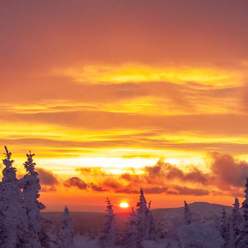 Photo #6906178