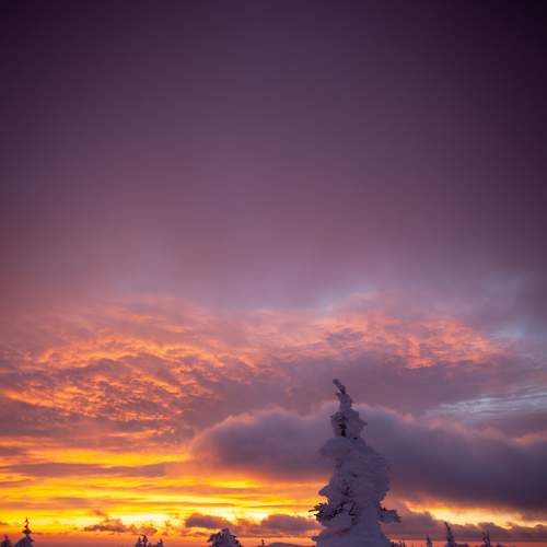 Photo #6906179