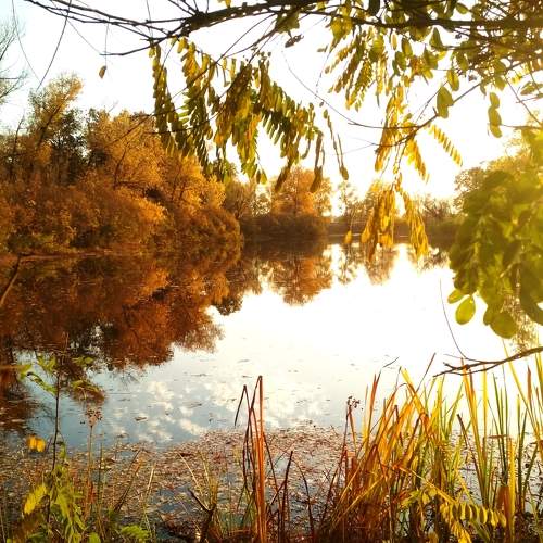 Photo #6906286