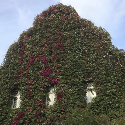 Photo #6906299