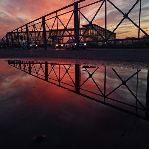 Photo #6906521