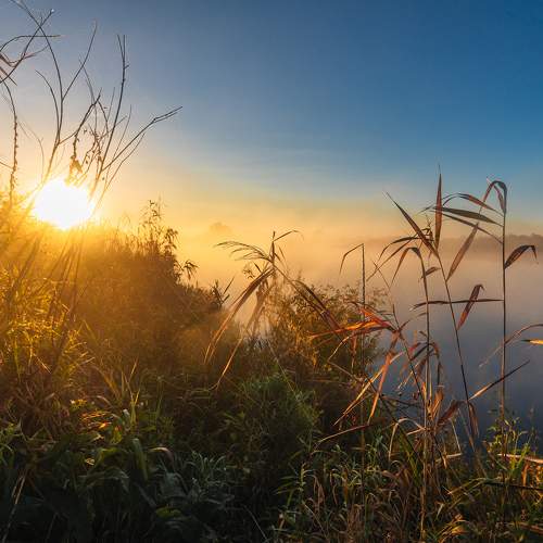 Photo #6906545