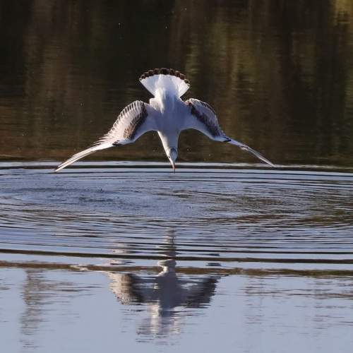 Photo #6907068