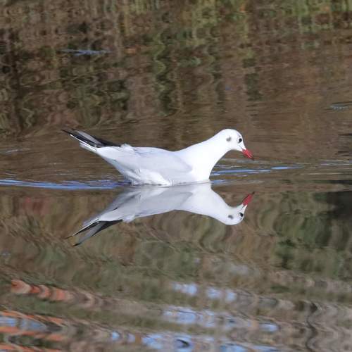 Photo #6907088