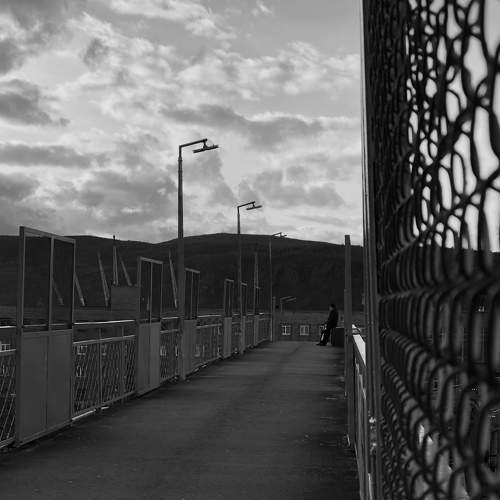 Photo #6907141