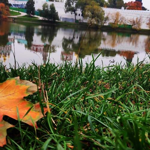 Photo #6907398
