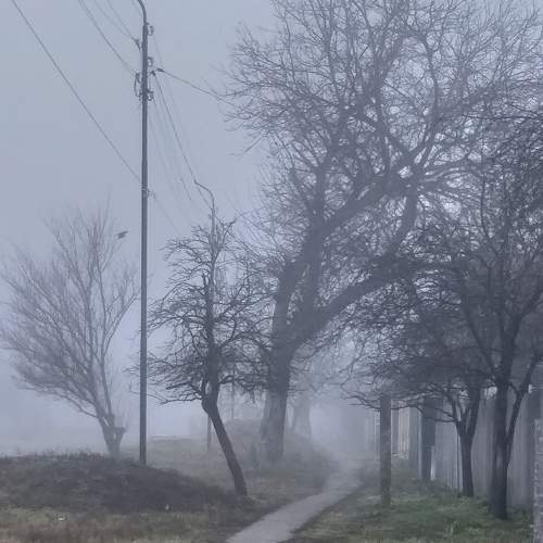 Photo #6907615