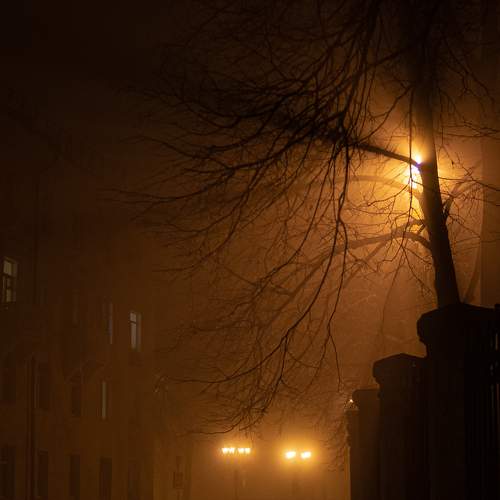 Photo #6907739