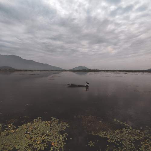 Photo #6907870