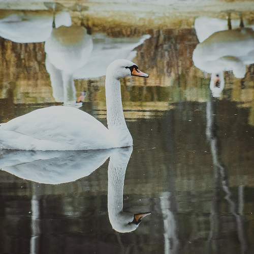 Photo #6908068