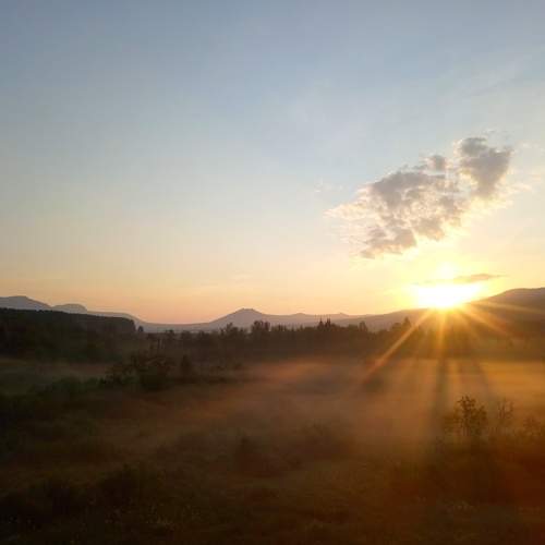 Photo #6908090