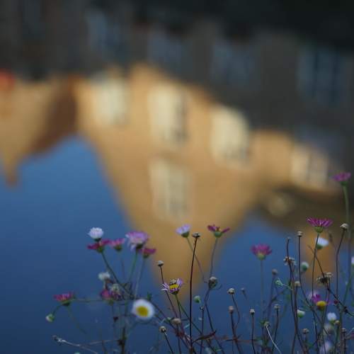 Photo #6908222