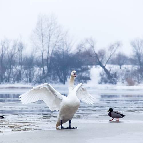 Photo #6908231
