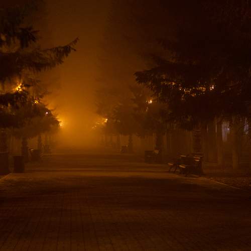 Photo #6908456