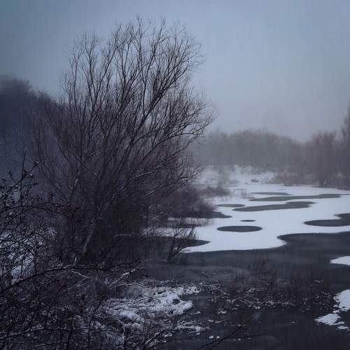 Photo #6908551