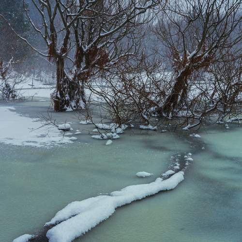 Photo #6908552