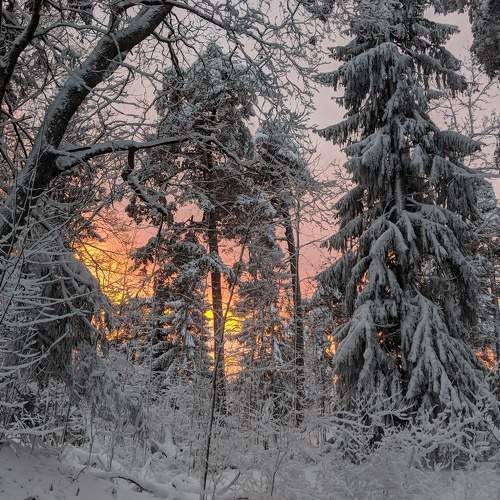 Photo #6908625
